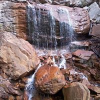 Jonathan Lovelady Photo 6