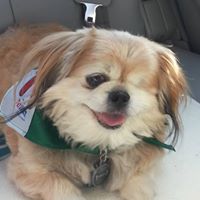 Kay Cummings Photo 33