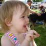 Cheryl Stubbs Photo 17