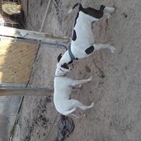 Kenneth Houser Photo 14