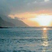 Steven Swaim Photo 3