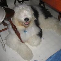 Sharon Clinton Photo 7