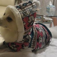 Chiuhsia Cheng Photo 1