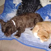 Phyllis Casey Photo 8