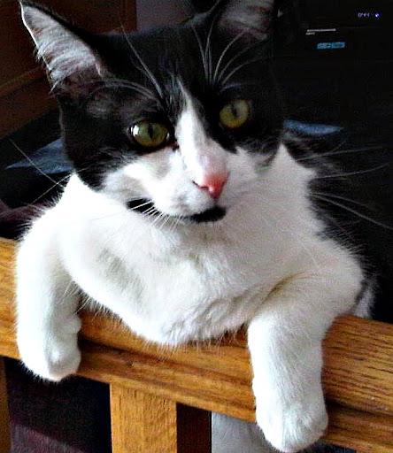 Marcia Freeman Photo 25