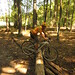 Kathy Schaeffer Photo 10