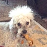 John Leith Photo 14 John Leith Photo 14