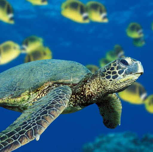 Angela Sheehan Photo 18