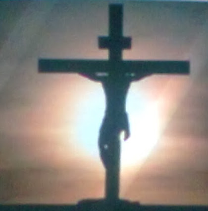 Cynthia Blevins Photo 16