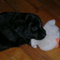 Tracy Skaggs Photo 11