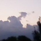 Daniel Hopp Photo 24