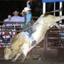 Brian Schaefer Photo 6