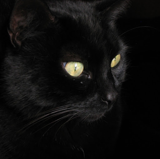 Christopher Crow Photo 22