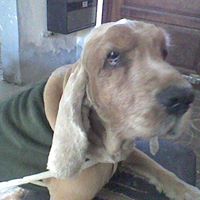 Julia Stanley Photo 24