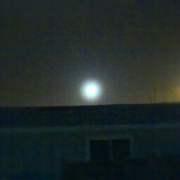 Denise Richard Photo 35