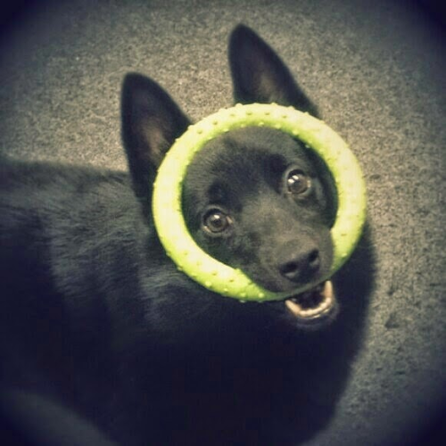 Janice Parsons Photo 16