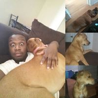 Jeremy Francis Photo 5