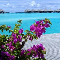 Lisa Summers Photo 18