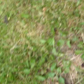 Cynthia Oliver Photo 36