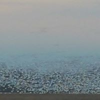 Philip Jackson Photo 24