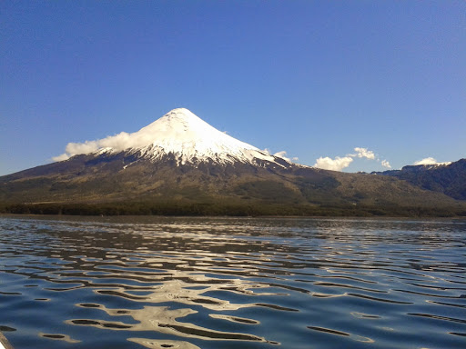 Candice Chavez Photo 15