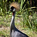 Gerald Gray Photo 41