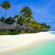 Lisa Weinert Photo 6