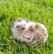 Catherine Smart Photo 14