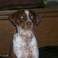 Oliver Martin Photo 28