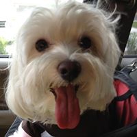 Walter Rice Photo 35 Walter Rice Photo 35