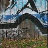 Joe Rader Photo 17