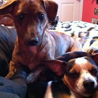 Rich Tuttle Photo 14