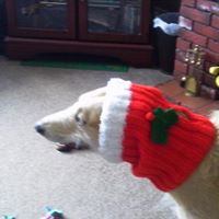 Denise Murphy Photo 41