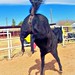 Ruby Buck Photo 16