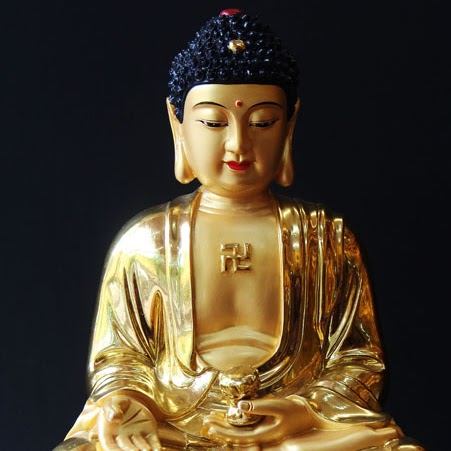 Dinh Nguyen Photo 5