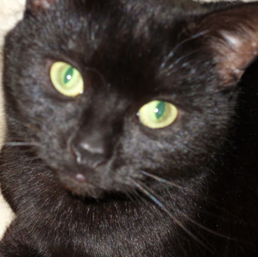 Julie Herbert Photo 31