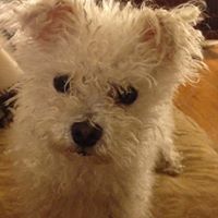 Catherine Powers Photo 9