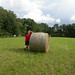 Chris Hays Photo 17