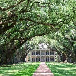 Michael Schwarz Photo 16 Michael Schwarz Photo 16