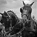 Laura Wester Photo 25