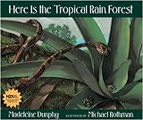 Here Is The Tropical Rain Forest (Web Of Life)