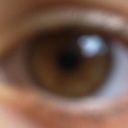 Julia Palacios Photo 7