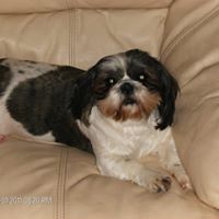 Marilyn Bowman Photo 25