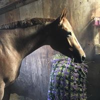 Jessica Merritt Photo 22