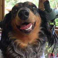 Danny Hinton Photo 30