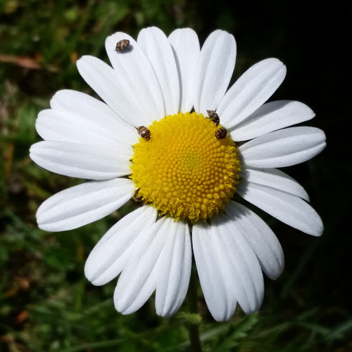 Gerald Walter Photo 19