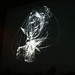 Robert Ott Photo 39