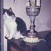 Ruth Hawthorne Photo 19
