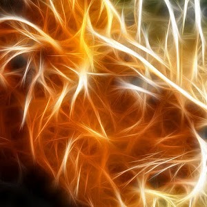 Manuel Real Photo 8 Manuel Real Photo 8