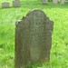 Elizabeth Partridge Photo 17